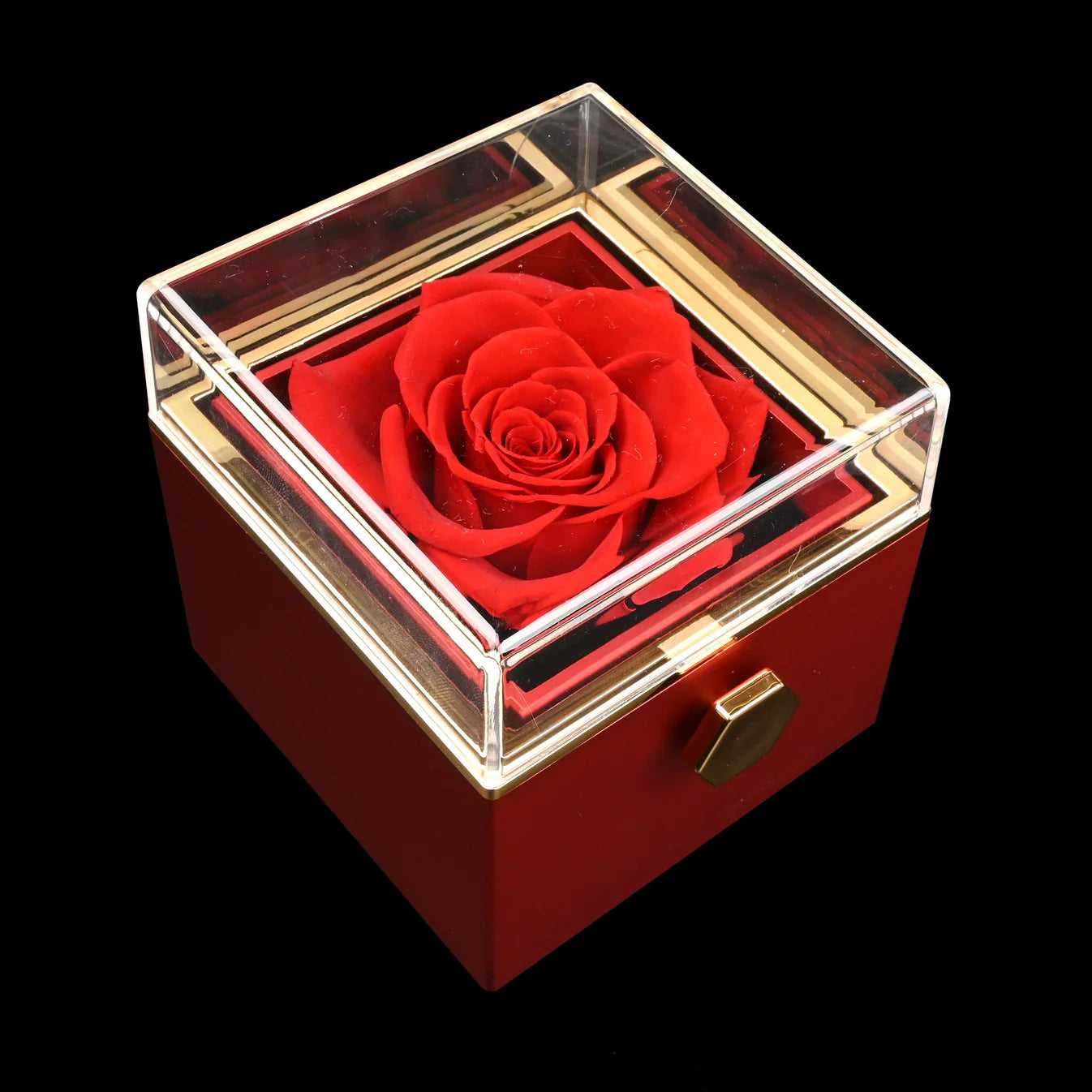 Eternal Rose Gift Box + Engraved Necklace